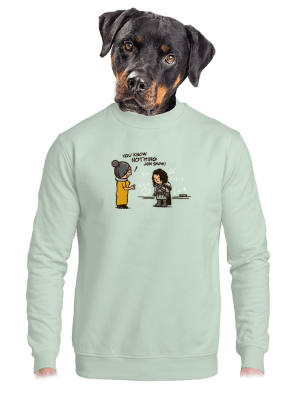 You know nothing unisex crewneck Blush Mint