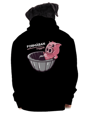 Formában cipzáras férfi pulóver Black