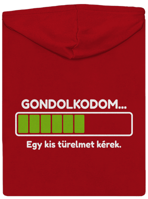 Gondolkodom cipzáras férfi pulóver Red