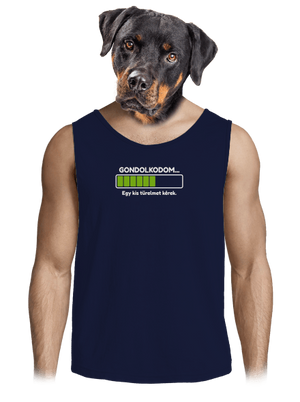 Gondolkodom férfi trikó French Navy