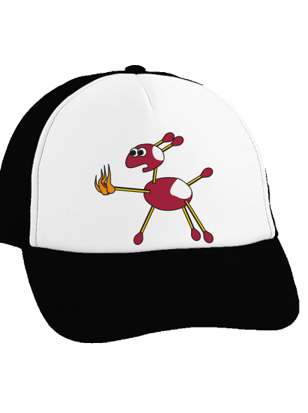  teherautós sapka Black cap