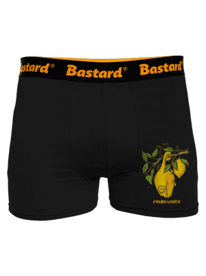 boxeralsó