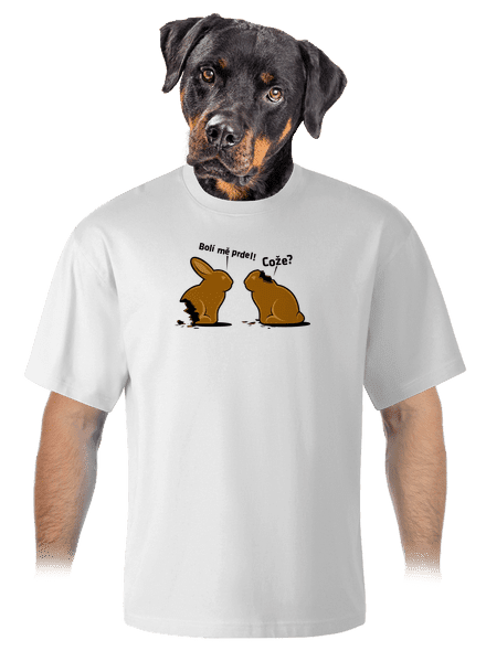 Fáj a seggem! unisex túlméretezett póló White