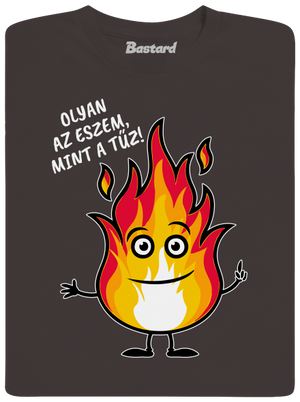 Olyan az eszem, mint a tűz! férfi hosszú ujjú póló Bear Brown