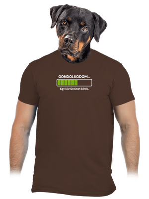 Gondolkodom férfi póló Brown