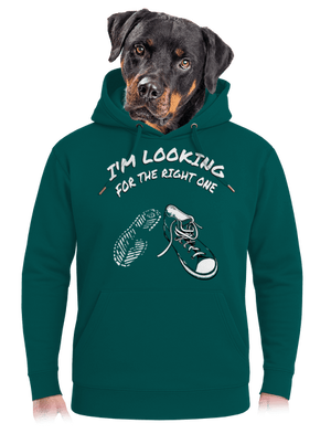 Keresem a megfelelőt unisex prémium pulóver Emerald Green