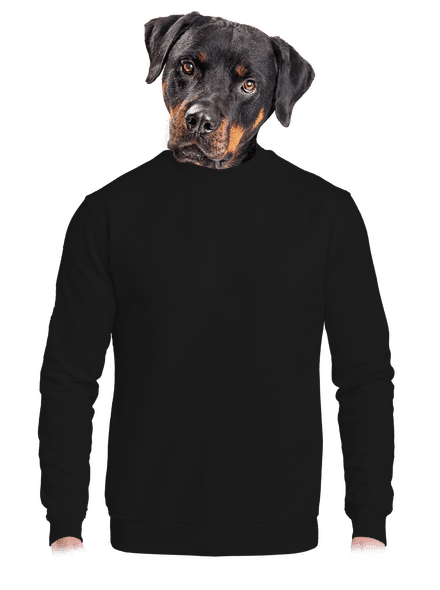 Nyomtatás nélkül unisex crewneck Black