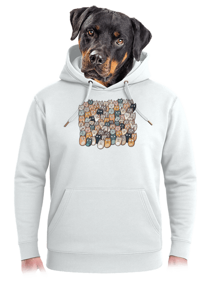 Találd meg az ördögöt unisex prémium pulóver Snowwhite