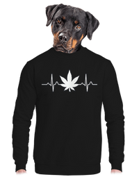 unisex crewneck