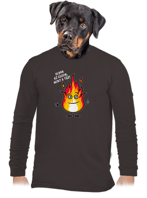 Olyan az eszem, mint a tűz! férfi hosszú ujjú póló Bear Brown