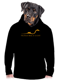 férfi kenguruzsebes pulóver