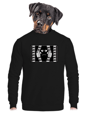 unisex crewneck