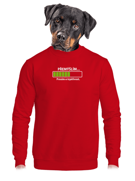 Gondolkodom unisex crewneck Red