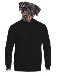 unisex crewneck