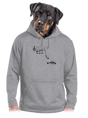 férfi kenguruzsebes pulóver