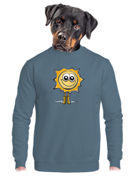 unisex crewneck