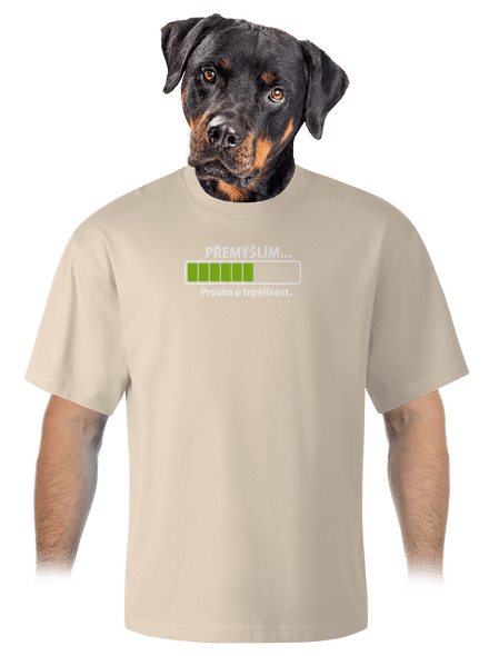 Gondolkodom unisex túlméretezett póló Almond