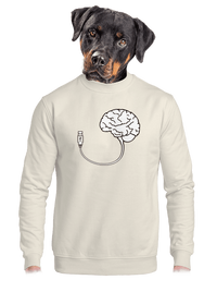 unisex crewneck