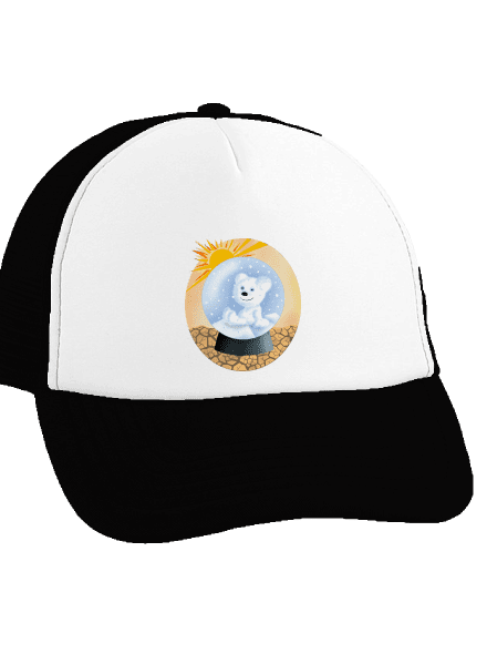 Medve a labdában teherautós sapka Black cap