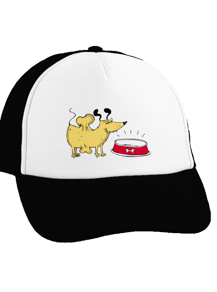 Csont teherautós sapka Black cap