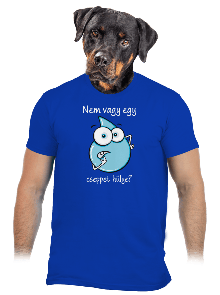 Nem vagy egy cseppet hülye? férfi póló Royal Blue