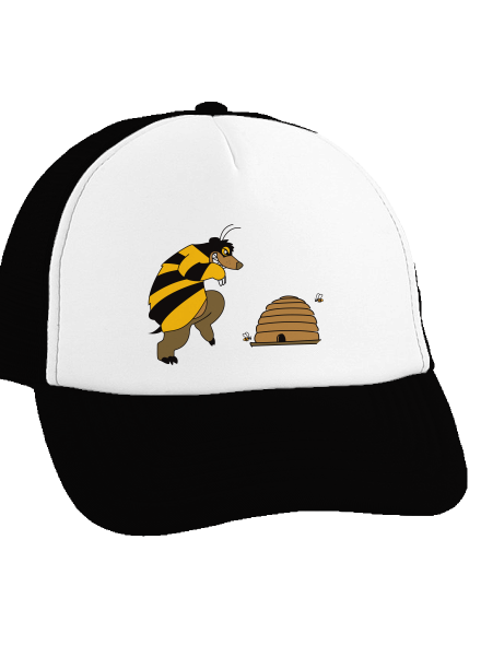 Méh uraság teherautós sapka Black cap