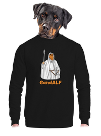 unisex crewneck