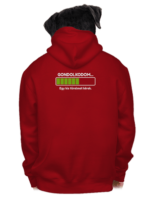 Gondolkodom cipzáras férfi pulóver Red