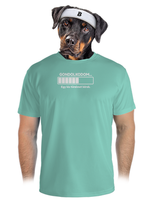 Gondolkodom férfi sportpóló Mint Mal
