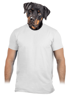 Nyomtatás nélkül férfi póló White