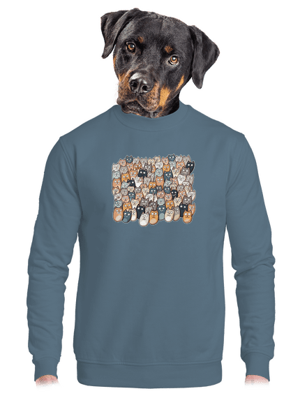 Találd meg az ördögöt unisex crewneck Nordic Blue