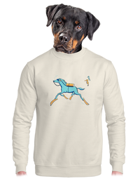 unisex crewneck