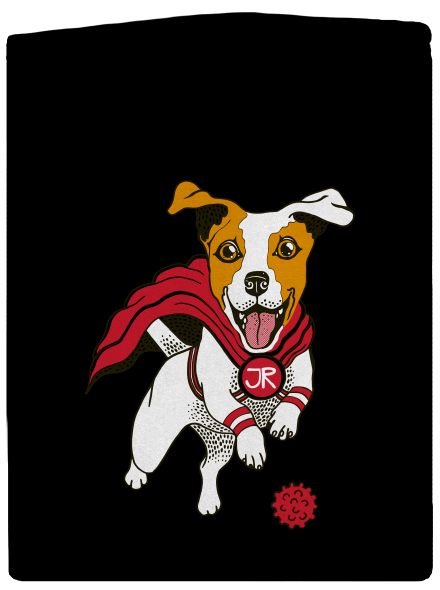 Jack Russell cipzáras női pulóver Black