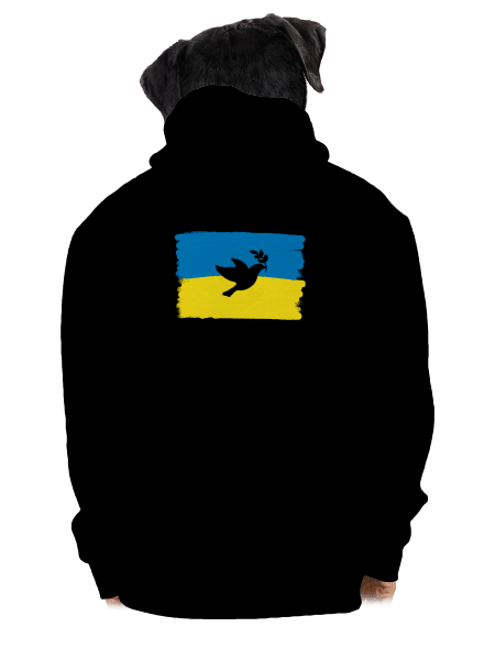  cipzáras férfi pulóver Black