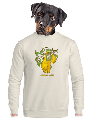 Citrom unisex crewneck Off White