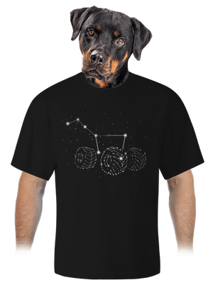 Göncölszekér unisex túlméretezett póló Black