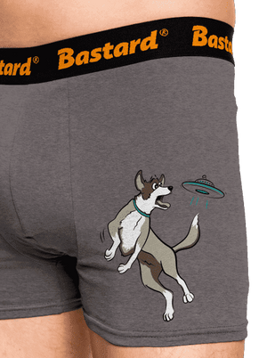 Repülő csészealj boxeralsó Gray Melange