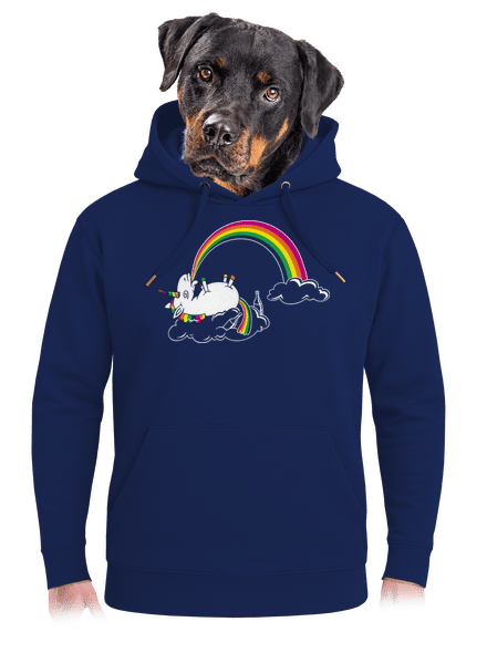 A szivárvány titka unisex prémium pulóver Navy