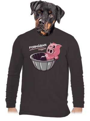 Formában férfi hosszú ujjú póló Bear Brown