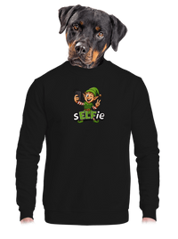 unisex crewneck