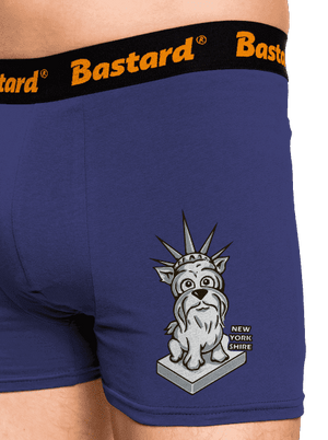 New Yorkshire boxeralsó Blue Navy