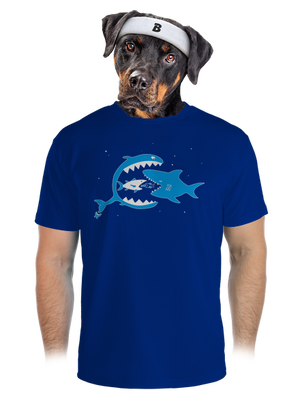 Halak férfi sportpóló Royal Blue Mal