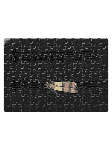 A - moll kirakós White