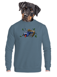 unisex crewneck