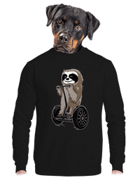 unisex crewneck