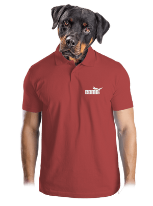 Coma férfi pólóingek Burgundy