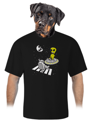 UFO crosswalk unisex túlméretezett póló Black