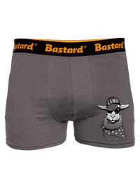 boxeralsó