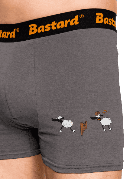 Sheeps in love boxeralsó Gray Melange