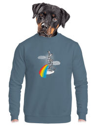 unisex crewneck
